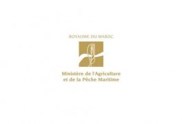 Agence pour le Développement Agricole du Maroc